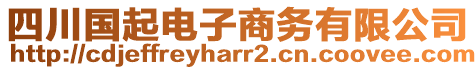 四川國起電子商務有限公司