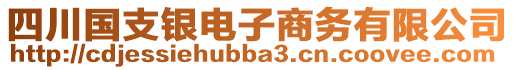 四川國(guó)支銀電子商務(wù)有限公司