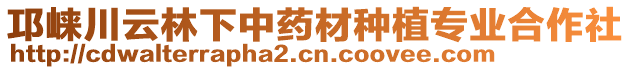 邛崍川云林下中藥材種植專業合作社