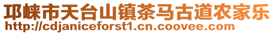 邛崍市天臺山鎮茶馬古道農家樂