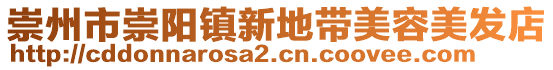 崇州市崇陽(yáng)鎮(zhèn)新地帶美容美發(fā)店