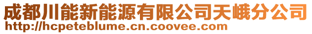 成都川能新能源有限公司天峨分公司