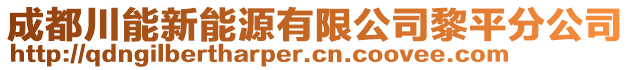 成都川能新能源有限公司黎平分公司