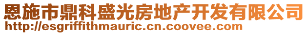 恩施市鼎科盛光房地產(chǎn)開發(fā)有限公司