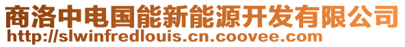 商洛中電國能新能源開發(fā)有限公司