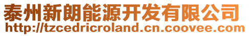 泰州新朗能源開發(fā)有限公司