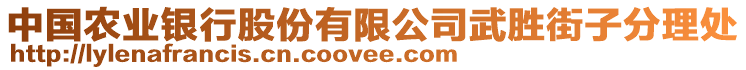 中國農(nóng)業(yè)銀行股份有限公司武勝街子分理處