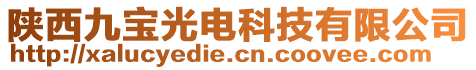 陜西九寶光電科技有限公司