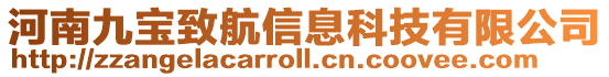 河南九寶致航信息科技有限公司