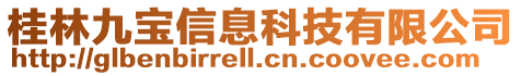 桂林九寶信息科技有限公司