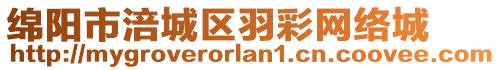 綿陽(yáng)市涪城區(qū)羽彩網(wǎng)絡(luò)城