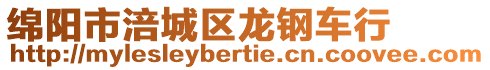 綿陽市涪城區龍鋼車行