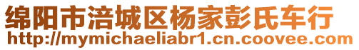 綿陽(yáng)市涪城區(qū)楊家彭氏車行