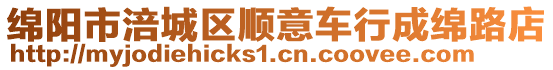 綿陽市涪城區(qū)順意車行成綿路店