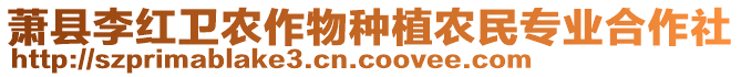 蕭縣李紅衛(wèi)農(nóng)作物種植農(nóng)民專(zhuān)業(yè)合作社