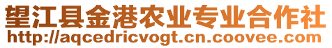 望江縣金港農(nóng)業(yè)專業(yè)合作社