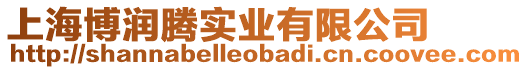 上海博潤(rùn)騰實(shí)業(yè)有限公司