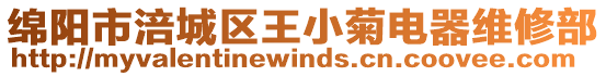 綿陽市涪城區王小菊電器維修部