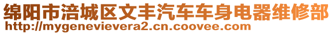 綿陽市涪城區文豐汽車車身電器維修部