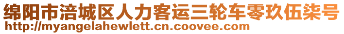 綿陽市涪城區(qū)人力客運(yùn)三輪車零玖伍柒號