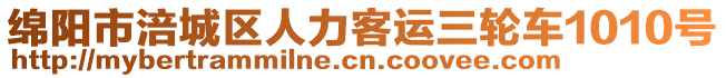 綿陽市涪城區(qū)人力客運三輪車1010號