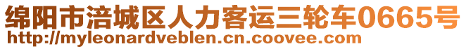 綿陽市涪城區(qū)人力客運三輪車0665號