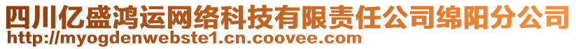 四川億盛鴻運(yùn)網(wǎng)絡(luò)科技有限責(zé)任公司綿陽分公司