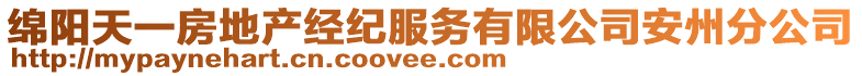 綿陽天一房地產(chǎn)經(jīng)紀(jì)服務(wù)有限公司安州分公司