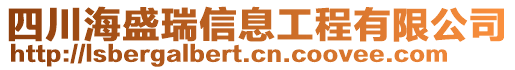 四川海盛瑞信息工程有限公司