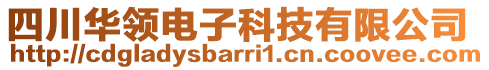 四川華領(lǐng)電子科技有限公司