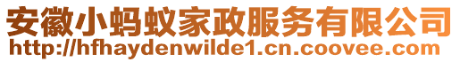 安徽小螞蟻家政服務(wù)有限公司