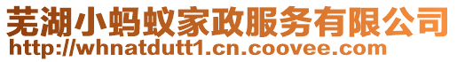 蕪湖小螞蟻家政服務(wù)有限公司