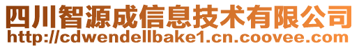 四川智源成信息技術(shù)有限公司