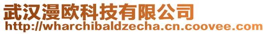 武漢漫歐科技有限公司