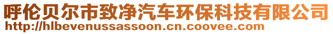 呼倫貝爾市致凈汽車環(huán)保科技有限公司