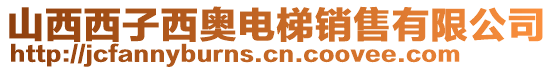 山西西子西奧電梯銷售有限公司