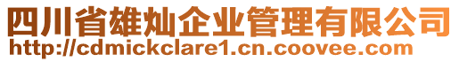 四川省雄燦企業(yè)管理有限公司