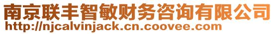 南京聯(lián)豐智敏財(cái)務(wù)咨詢有限公司