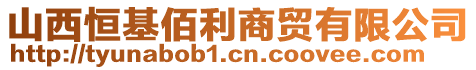 山西恒基佰利商貿(mào)有限公司