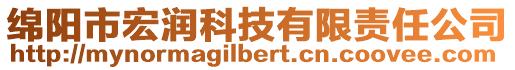 綿陽市宏潤科技有限責(zé)任公司