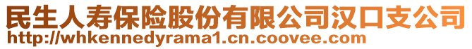 民生人壽保險股份有限公司漢口支公司