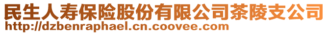 民生人壽保險股份有限公司茶陵支公司