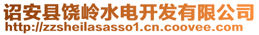 詔安縣饒嶺水電開(kāi)發(fā)有限公司