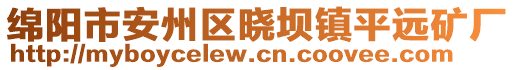 綿陽市安州區(qū)曉壩鎮(zhèn)平遠(yuǎn)礦廠