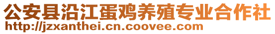 公安县沿江蛋鸡养殖专业合作社