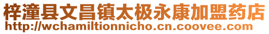 梓潼縣文昌鎮太極永康加盟藥店