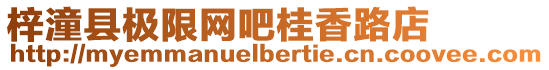 梓潼縣極限網(wǎng)吧桂香路店