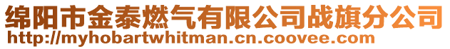 綿陽(yáng)市金泰燃?xì)庥邢薰緫?zhàn)旗分公司