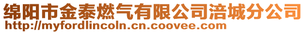 綿陽市金泰燃?xì)庥邢薰靖⒊欠止? style=