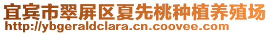 宜賓市翠屏區(qū)夏先桃種植養(yǎng)殖場